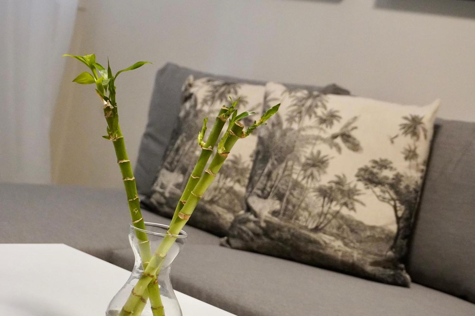 Estudio Veintisiete Apartment